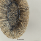 Decorativo Rupadhatu